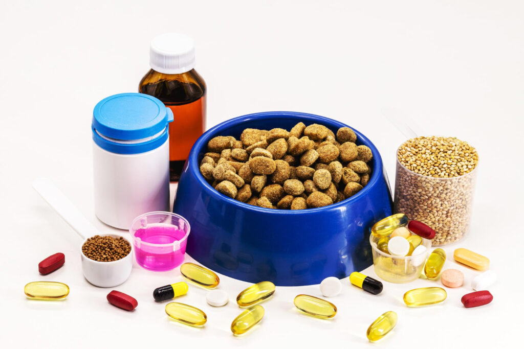 Seu pet precisa de suplementação? Veja o que dizem os veterinários