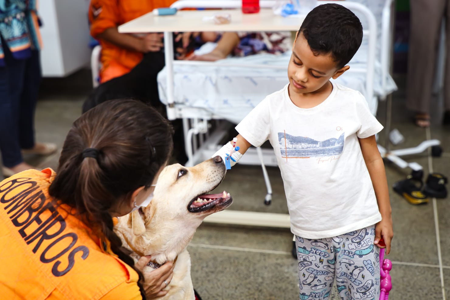 cachorro terapeura