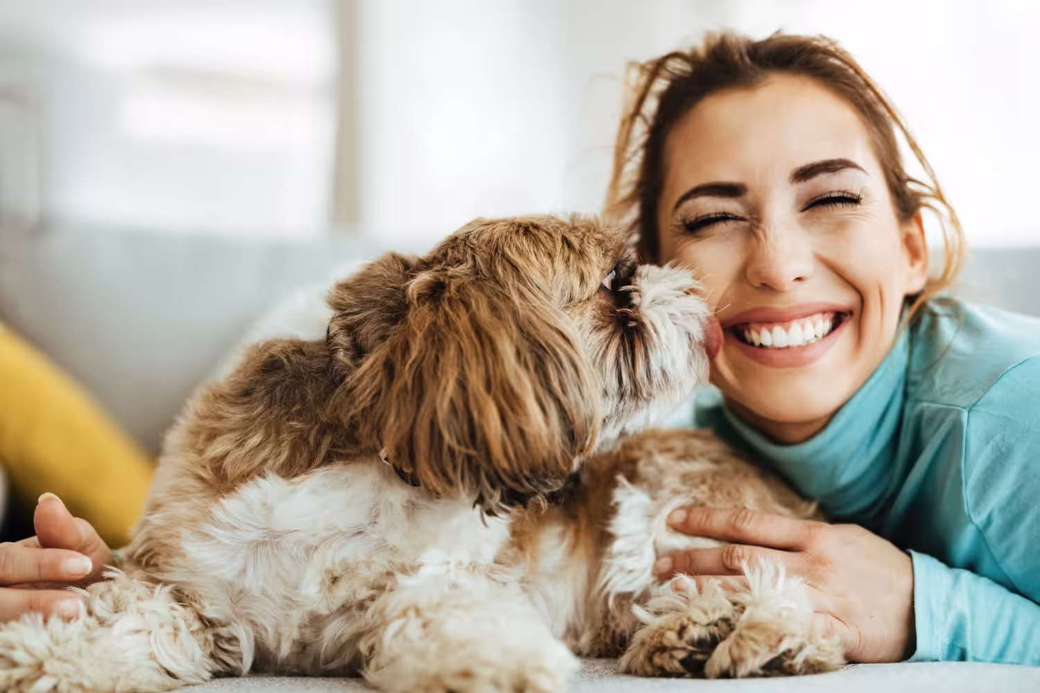 Profissional destaca os cuidados necessários para as “mães de pet”