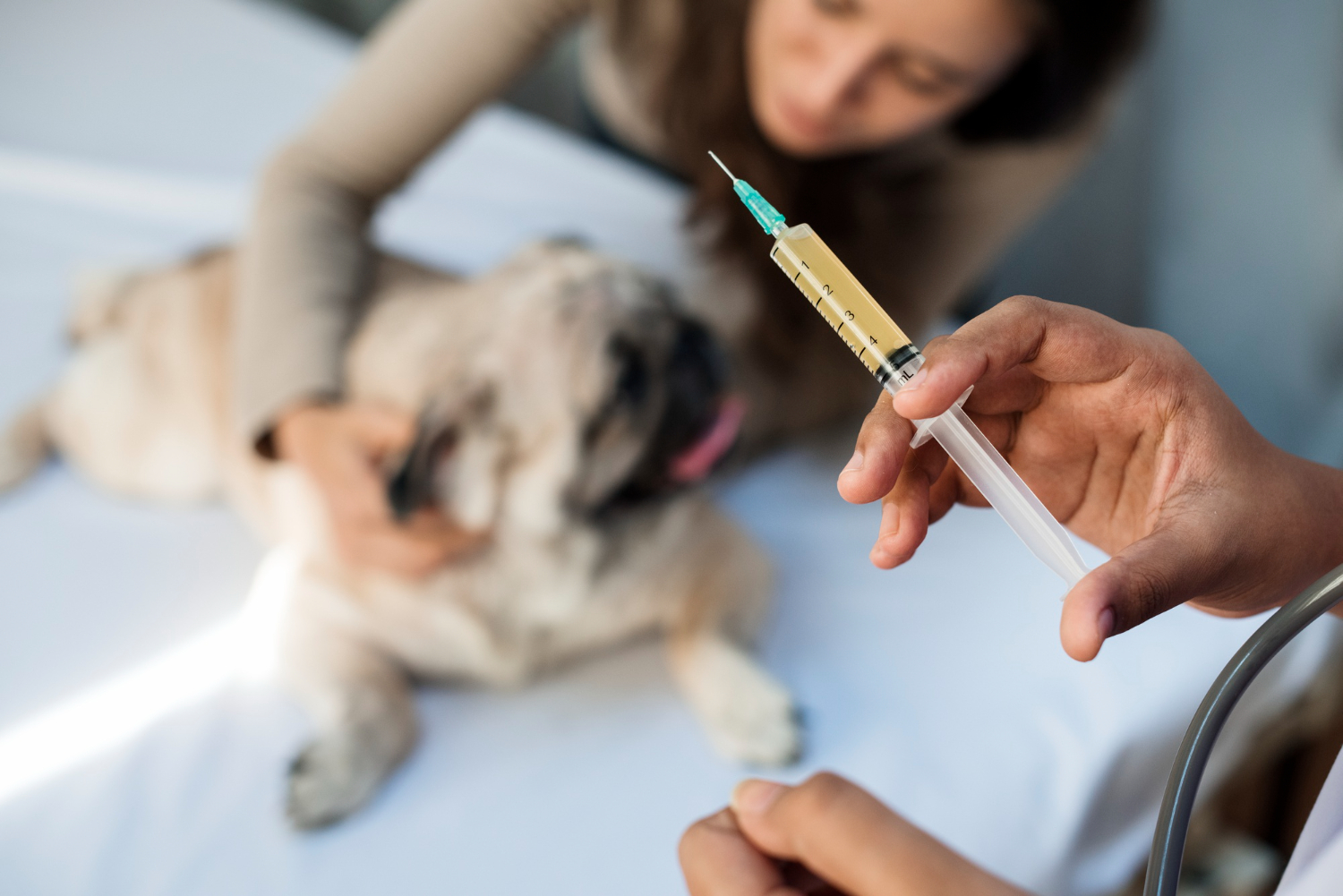 Quais são as 3 primeiras vacinas para cães?