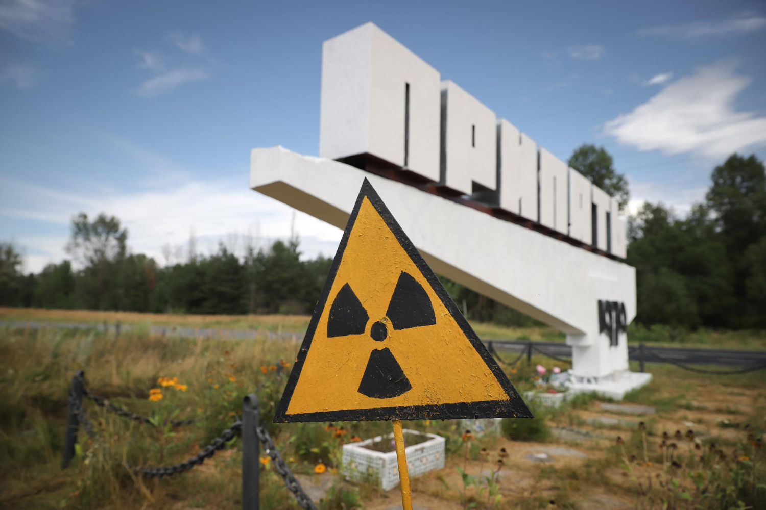 Genética de cães ao redor de Chernobyl está mudando