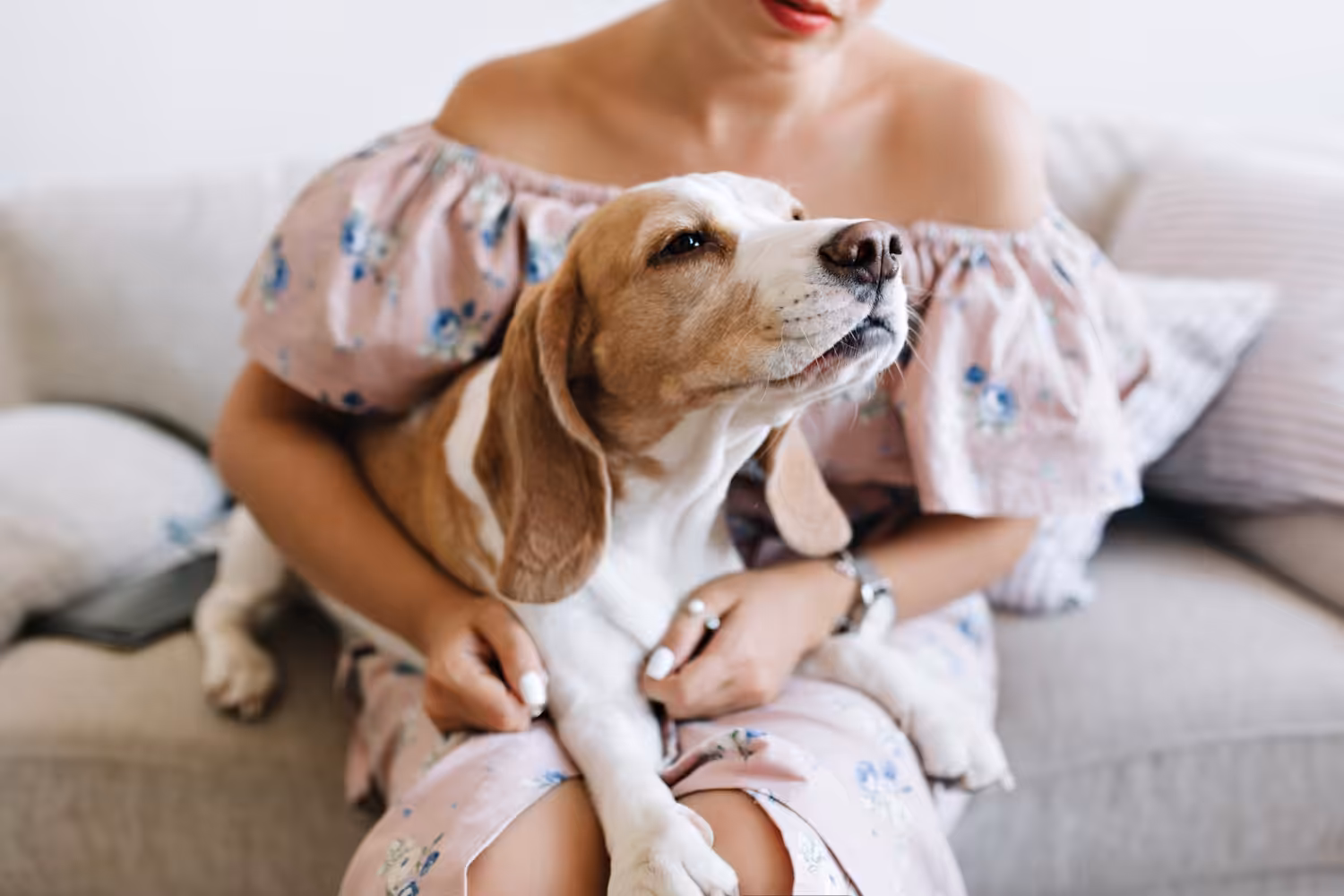Combater o câncer de mama em pets é um ato de amor e carinho