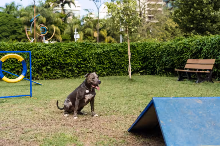 Elanco orienta sobre escolha de hotelzinho para o seu pet  