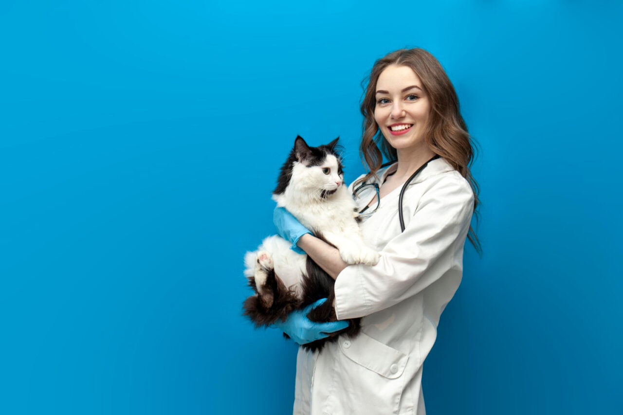 veterinária.jpg