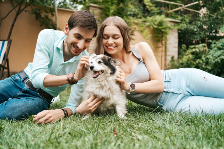 Como funciona a guarda de pets em casos de separação?