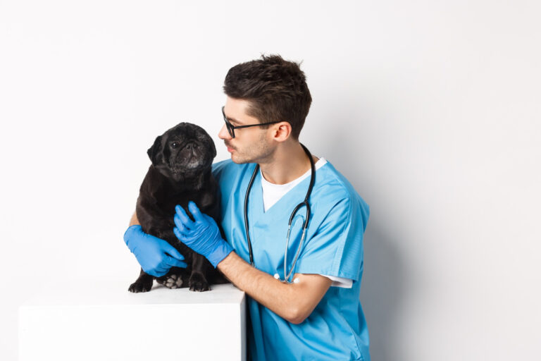 vet.jpg