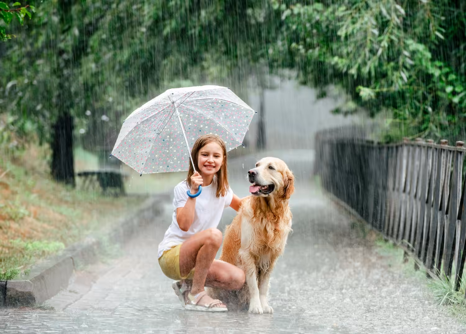 Período chuvoso requer cuidados especiais com os pets
