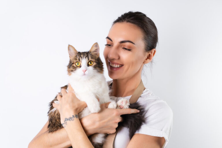 gato.jpg