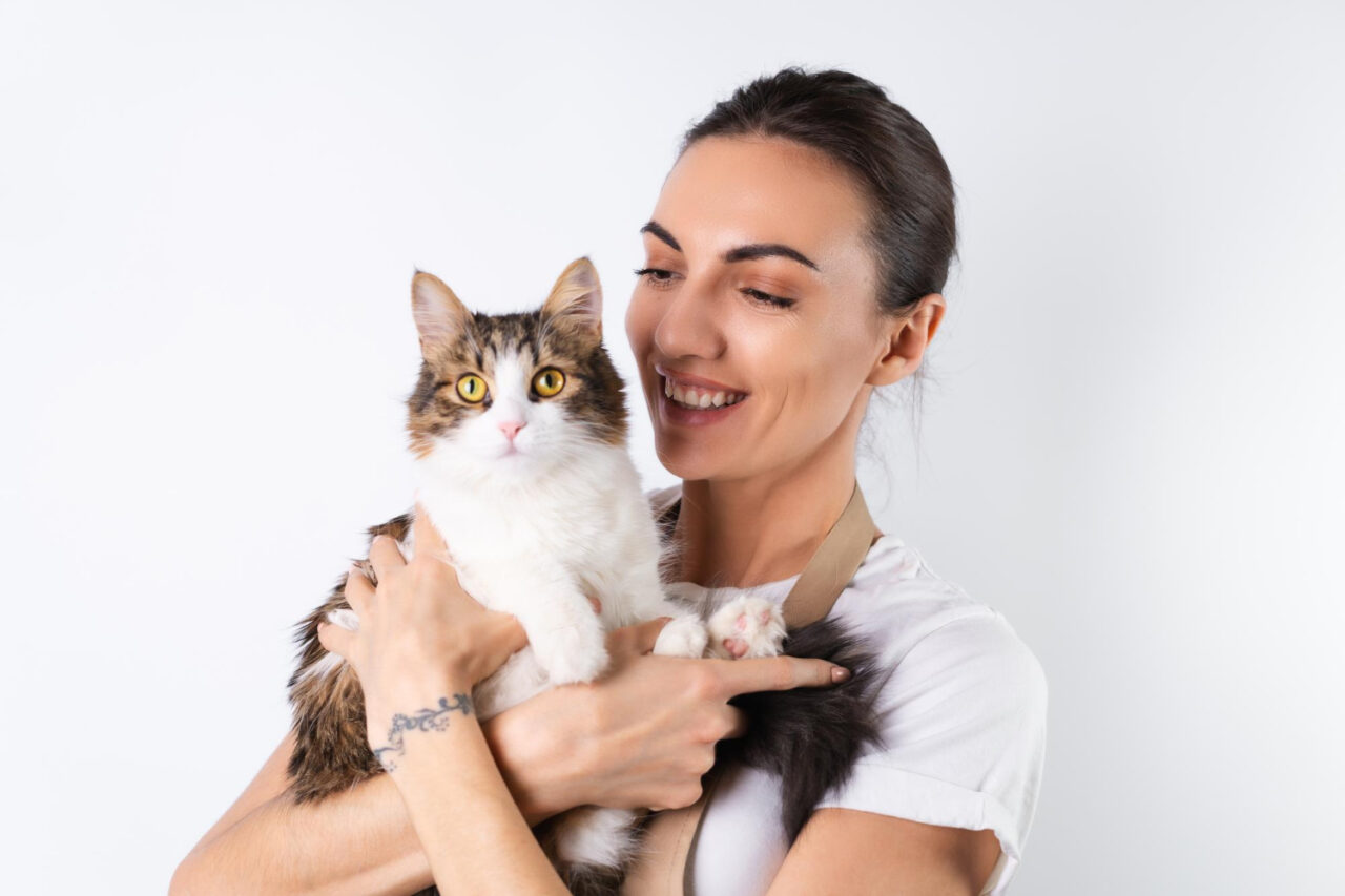 gato.jpg