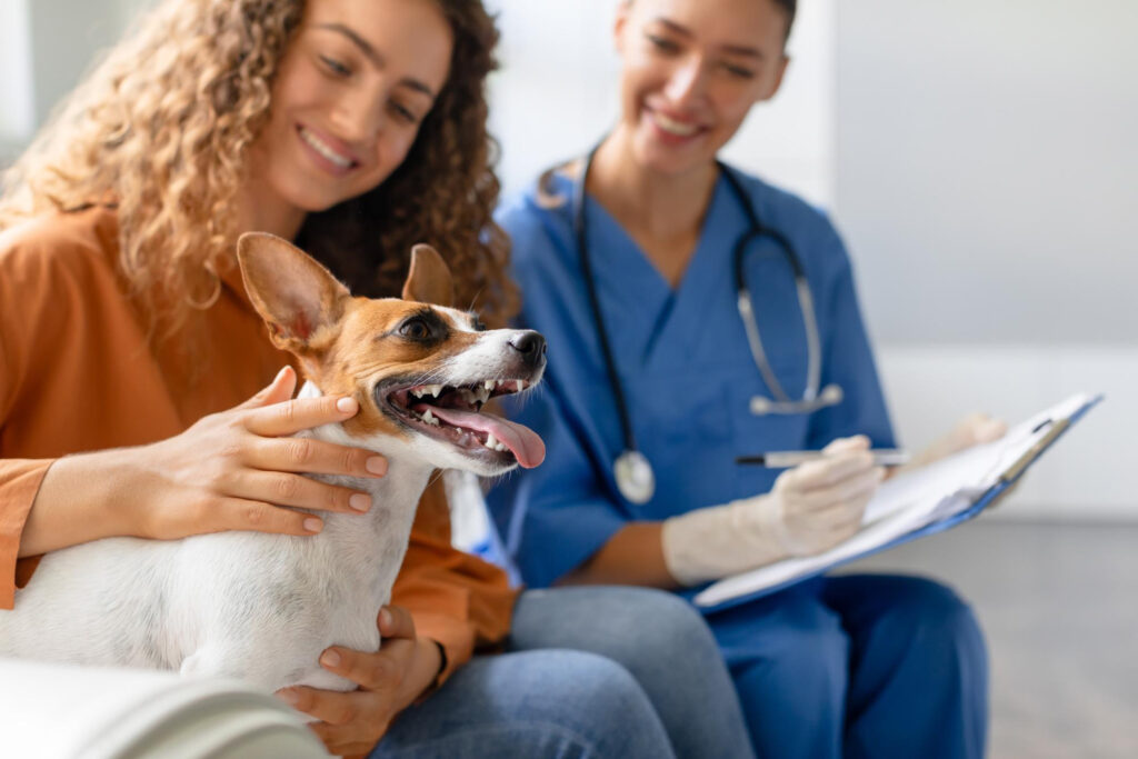 Projeto de Lei propõe adição de planos de saúde para pets como benefício trabalhista