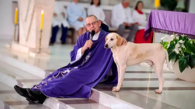 Cachorro caramelo “vira fiel” e passa a acompanhar missas no Paraná, encantando comunidade