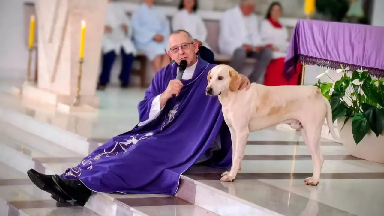 Cachorro caramelo “vira fiel” e passa a acompanhar missas no Paraná, encantando comunidade