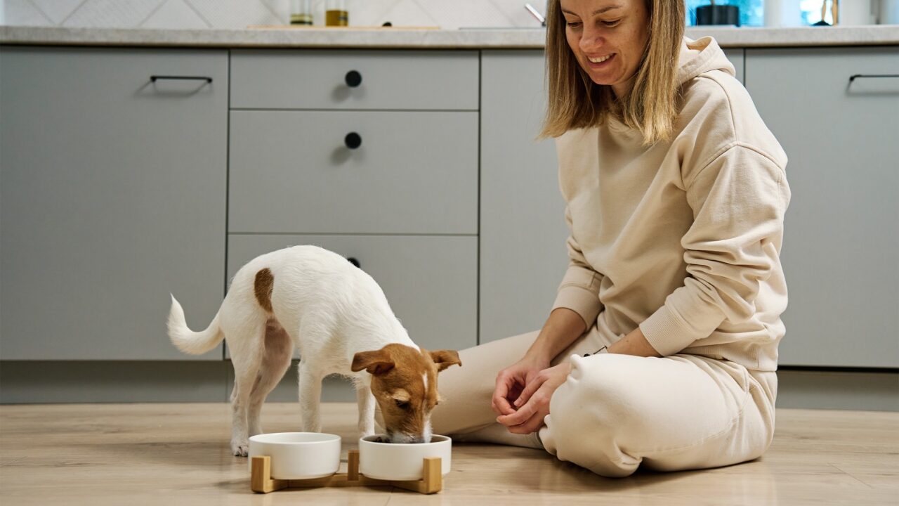A alimentação do seu pet está acompanhando a vida que ele leva? Entenda