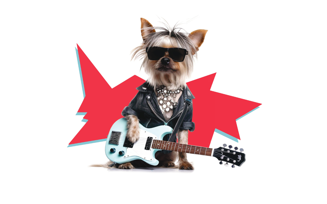 Moema recebe “Dogs of Rock” com música, diversão e pets em clima de festival