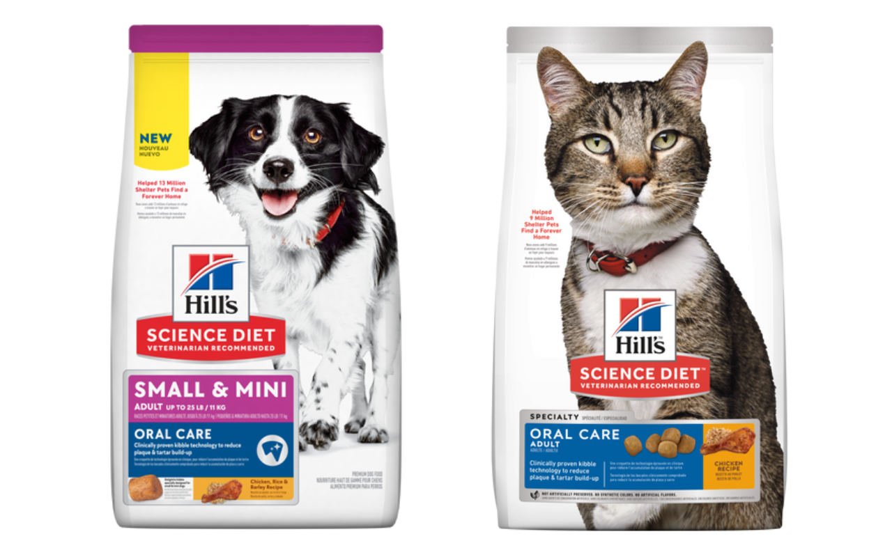 Hill's Pet Nutrition lança linha que atenderá condições específicas da saúde dos pets