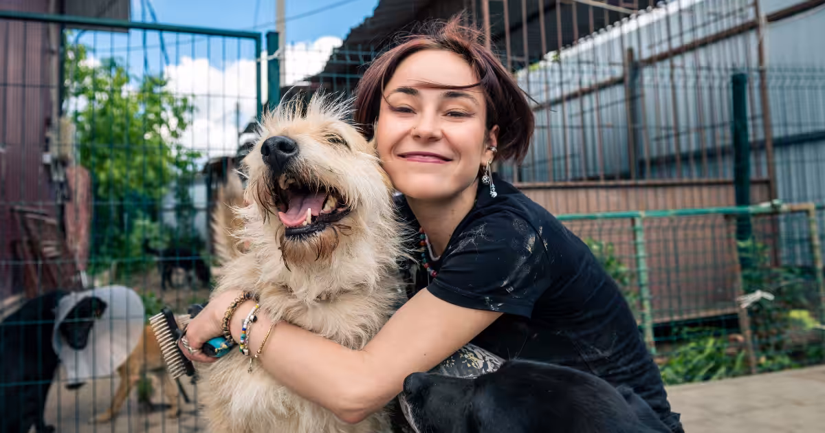 Pesquisa aponta que mulheres adotam mais pets em ONGs e abrigos do que homens no Brasil