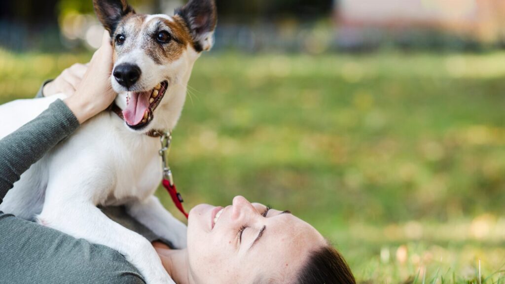 Amizade que atravessa gerações: a história e a psicologia por trás do vínculo entre humanos e cães