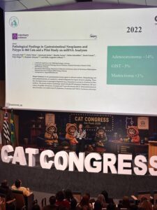 Ana Rita Pereira no Cat Congress