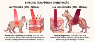 Animação laserterapia