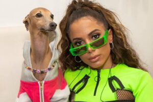 De Taylor Swift a Nicole Bahls: pets de famosos que conquistam o público e dominam as redes