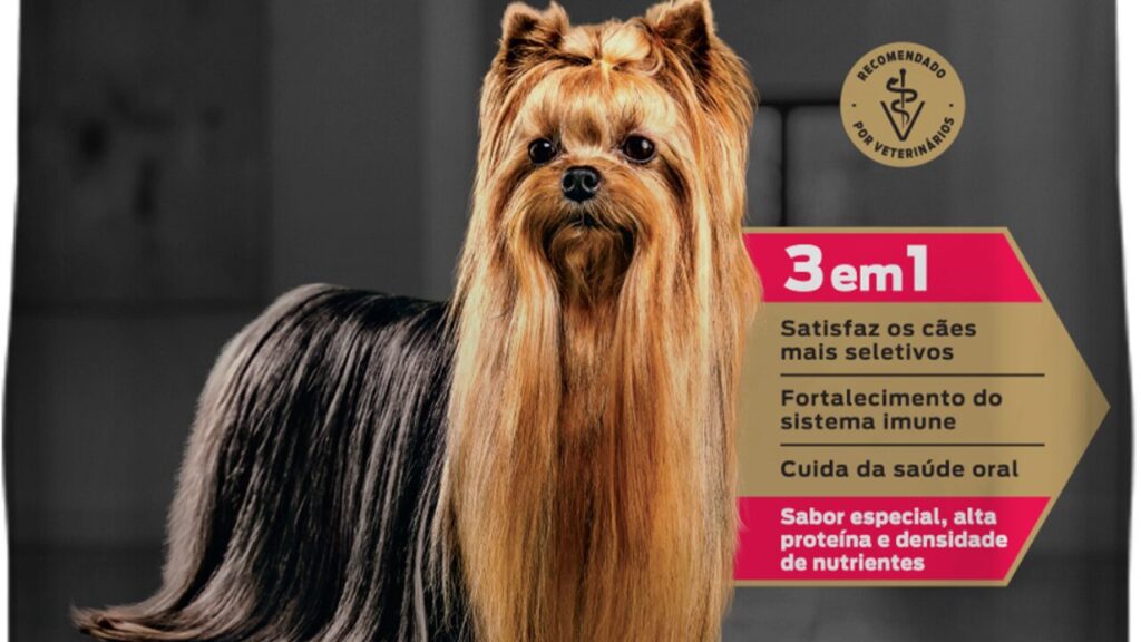 Apetite seletivo em cães_ como a nutrição pode ajudar