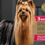 Apetite seletivo em cães_ como a nutrição pode ajudar