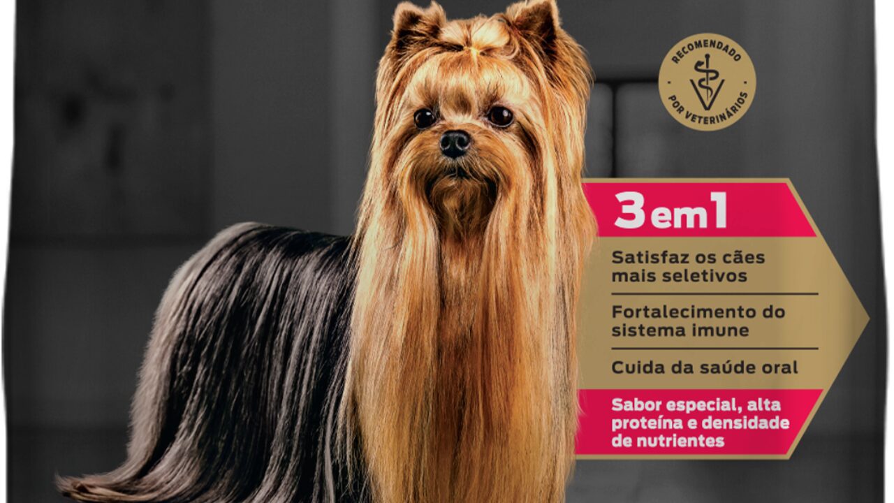 Apetite seletivo em cães: como a nutrição pode ajudar