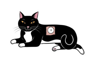 As Diretrizes de Manejo do Diabetes em Gatos
