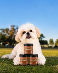 Biotecnologia da HipoMush para petfood