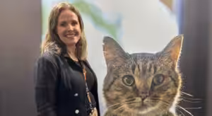 Boehringer Ingelheim lança linha de vacinas Purevax no Cat In Rio 2025