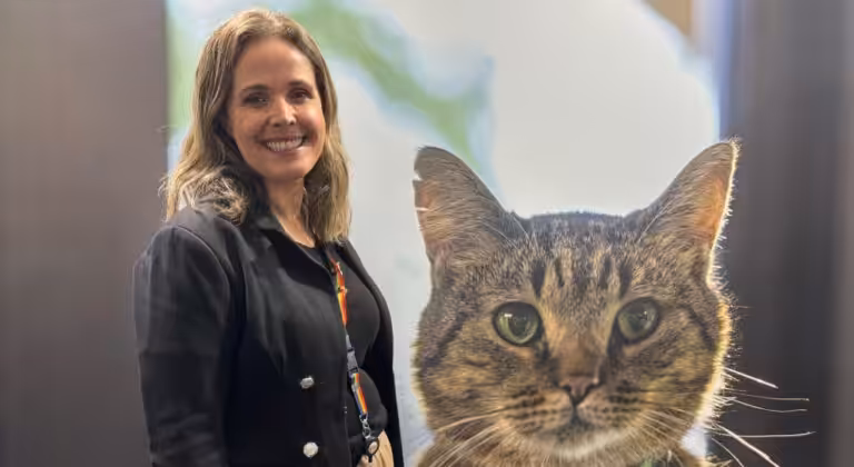 Boehringer Ingelheim lança linha de vacinas Purevax no Cat In Rio 2025