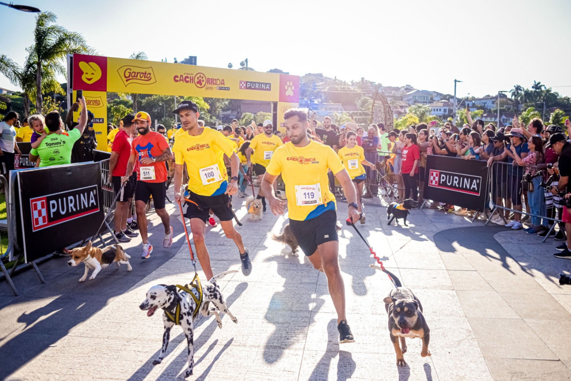 corrida com cachorro