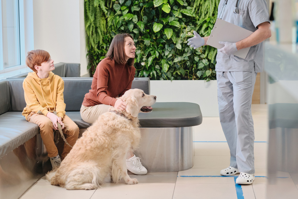 Prefeitura de São Bernardo autoriza pacientes a receber visita de pets