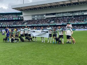 Campanha jogadores