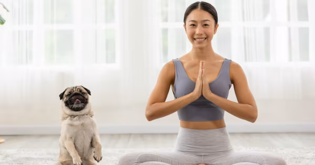 AUmastê em São Paulo promove bem-estar animal, adoção responsável e conexão entre pets e tutores
