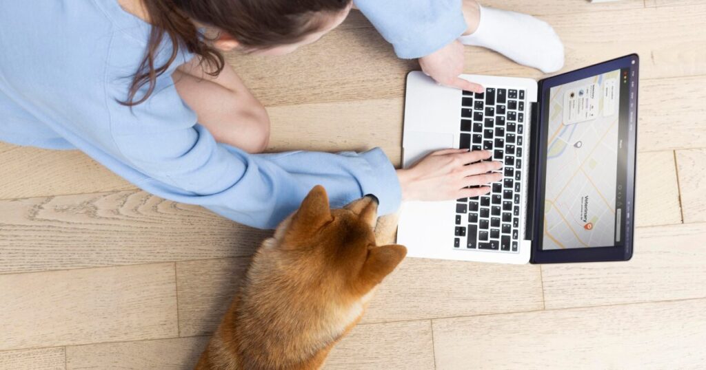 Antes da consulta, vem a pesquisa: a jornada digital do responsável pelo animal na escolha da clínica veterinária