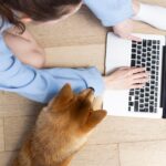 Antes da consulta, vem a pesquisa: a jornada digital do responsável pelo animal na escolha da clínica veterinária