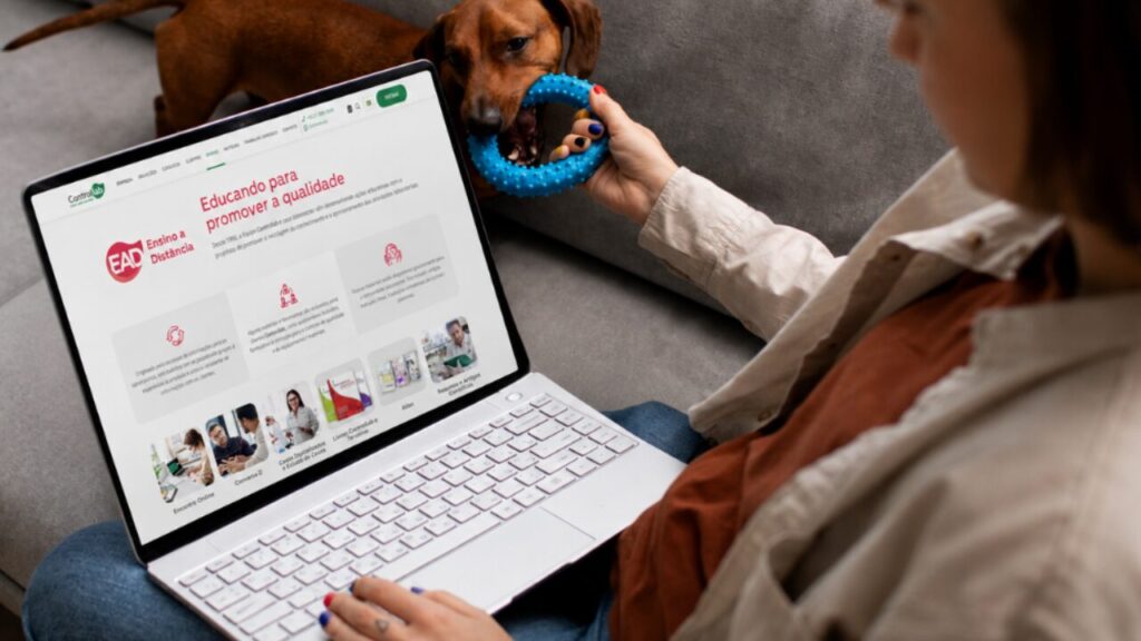Capacitações gratuitas ajudam veterinários na interpretação dos exames