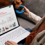 Capacitações gratuitas ajudam veterinários na interpretação dos exames