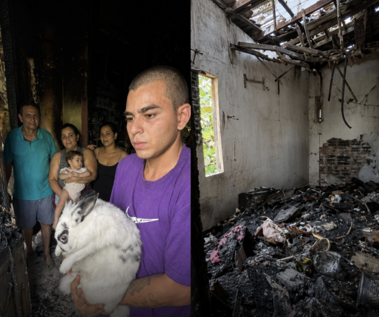 Coelha percebe incêndio, acorda família e ajuda a salvar cinco pessoas em Manaus