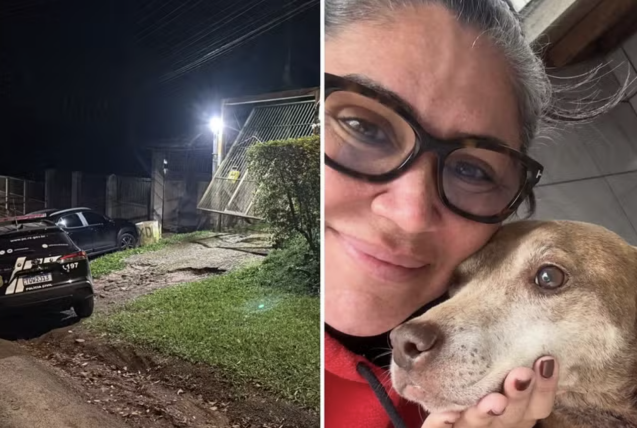 Investigação revela suspeita de eutanásias irregulares de cães e gatos no RS