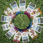 Snacks que unem cuidado com a saúde bucal e nutrição para cães que unem cuidado com a saúde bucal e nutrição para cães