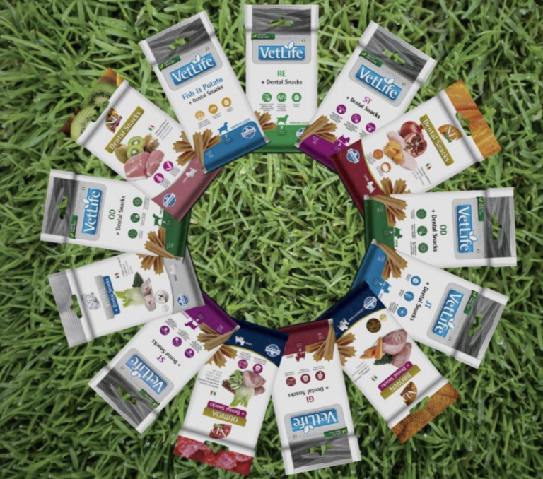 Snacks que unem cuidado com a saúde bucal e nutrição para cães que unem cuidado com a saúde bucal e nutrição para cães