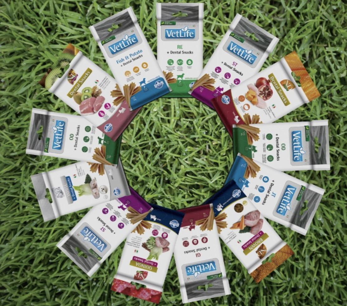 Snacks que unem cuidado com a saúde bucal e nutrição para cães