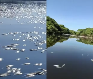 lago cuniã 