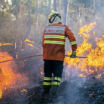 Área queimada no Brasil cai 31% em 2025, aponta MapBiomas