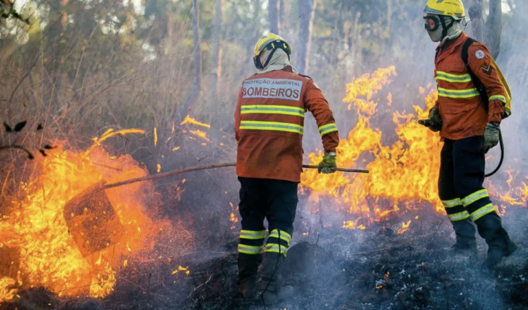 Área queimada no Brasil cai 31% em 2025, aponta MapBiomas