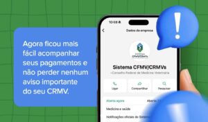 WhatsApp para orientar