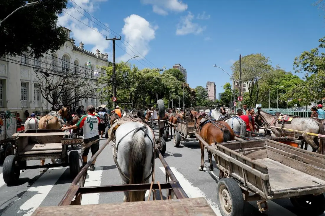 Prefeitura do Recife usa bikes elétricas no lugar de carroças puxadas por cavalos