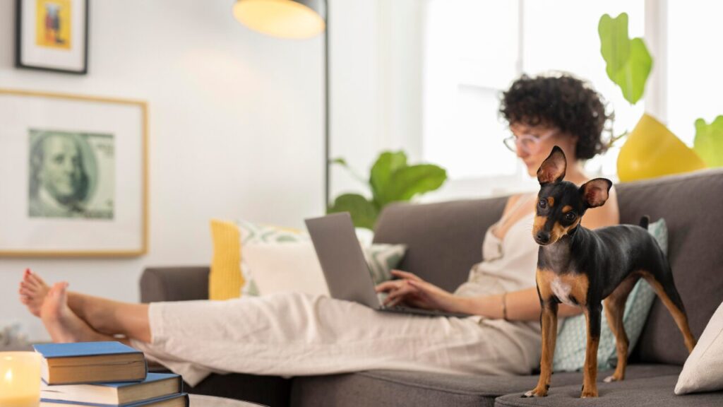 Cerca de 55% dos donos de pets pedem conselhos de dieta à Inteligência Artificial